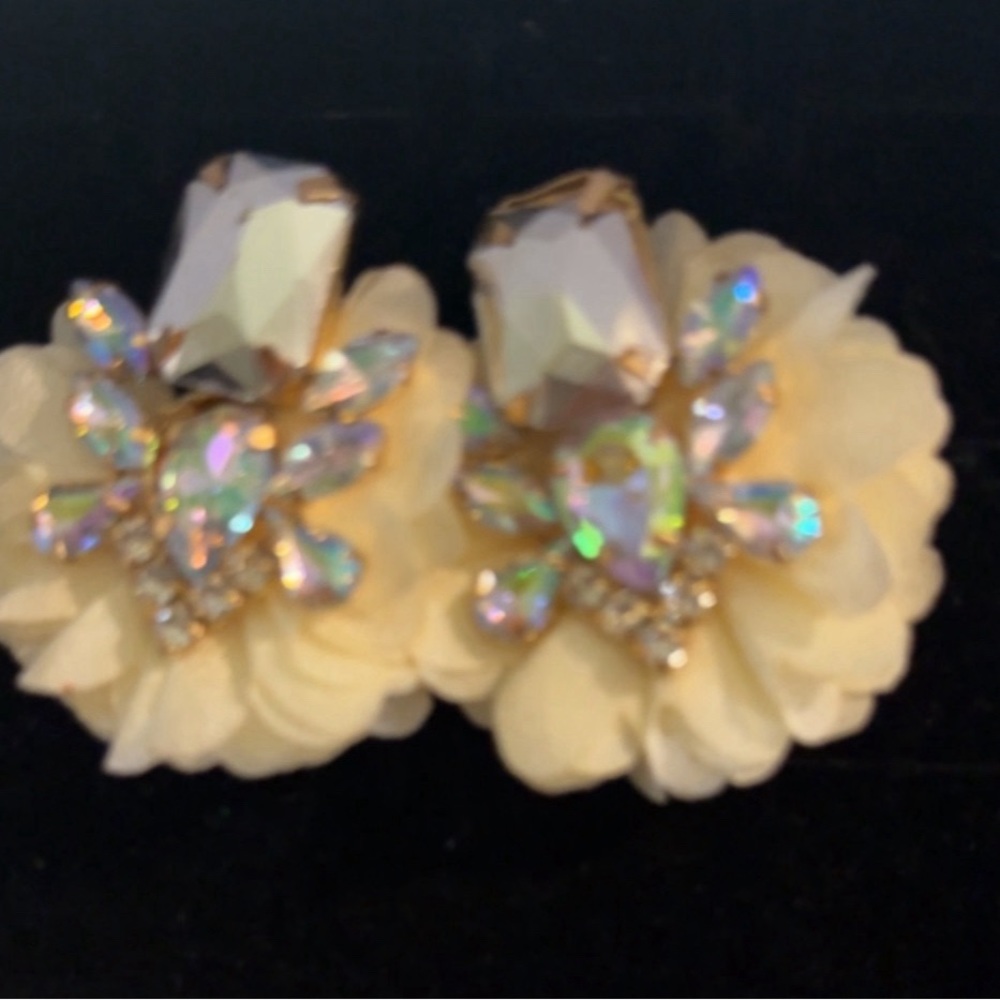 Gorgeous earrings
